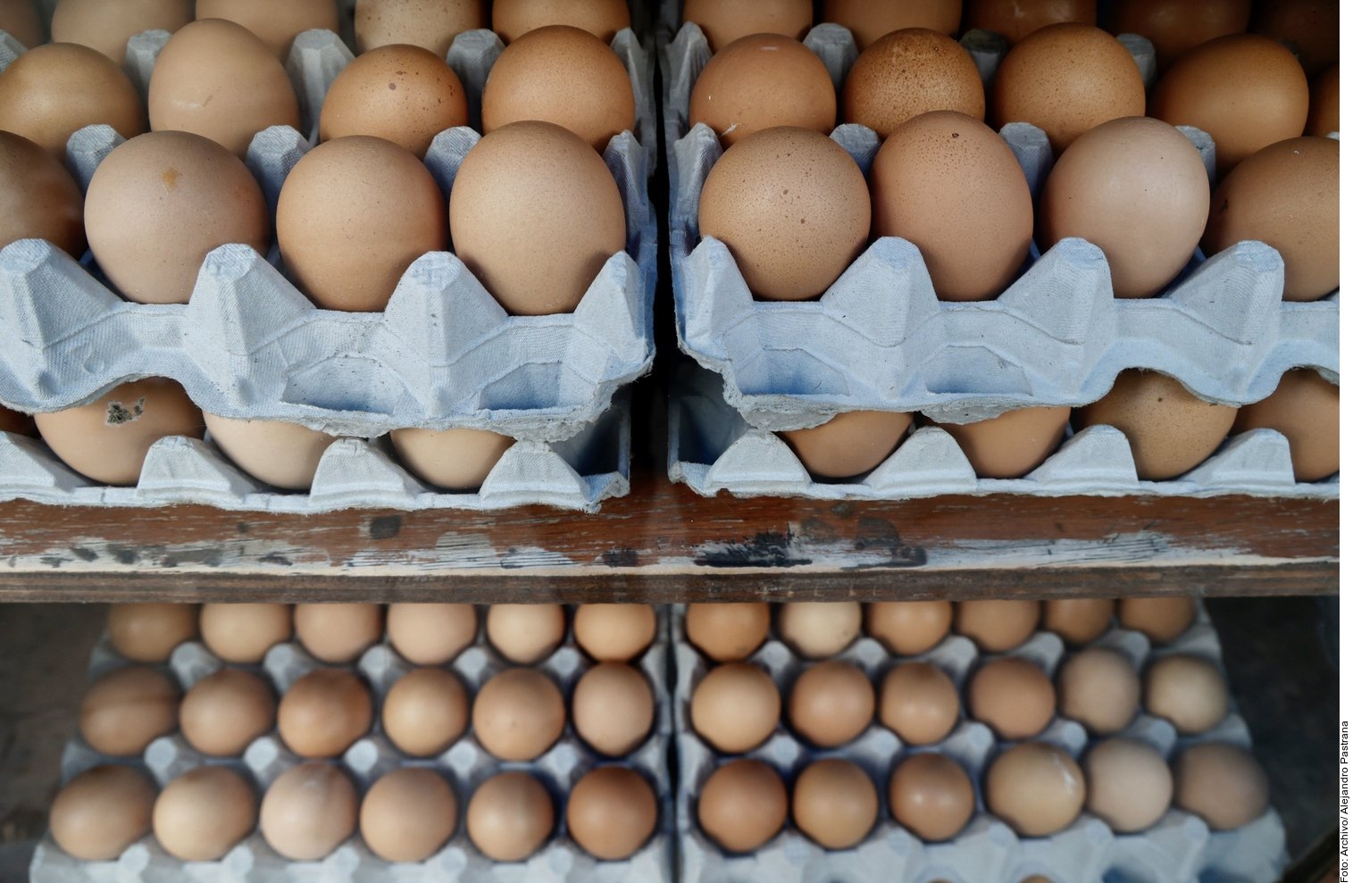 Precio del huevo podría subir hasta 15 más NVI Istmo
