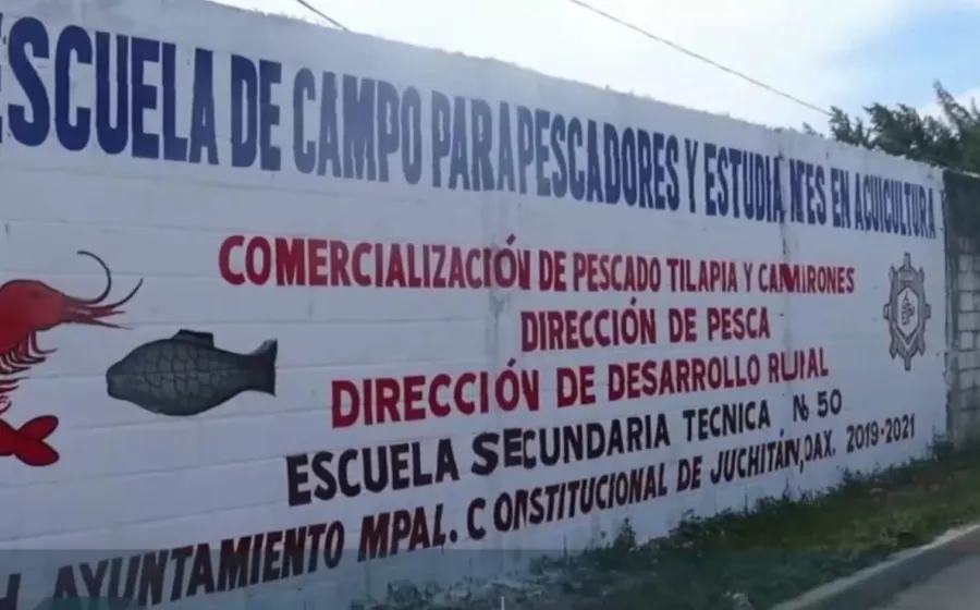 escuela-de-campo