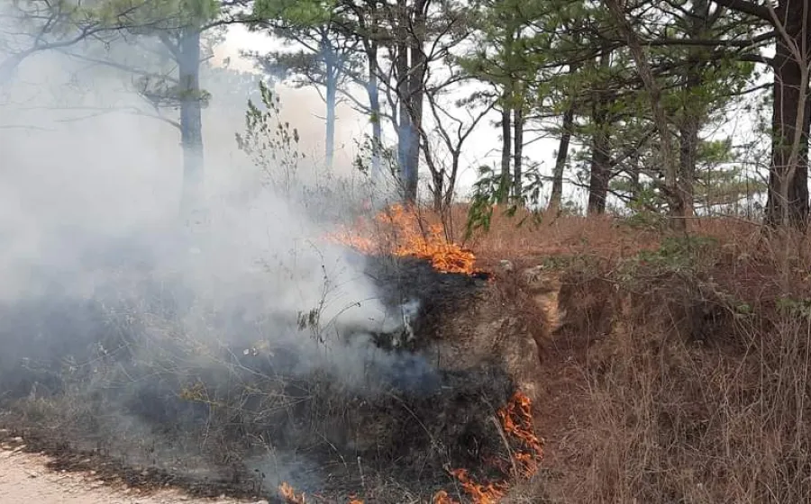 incendio-forestal