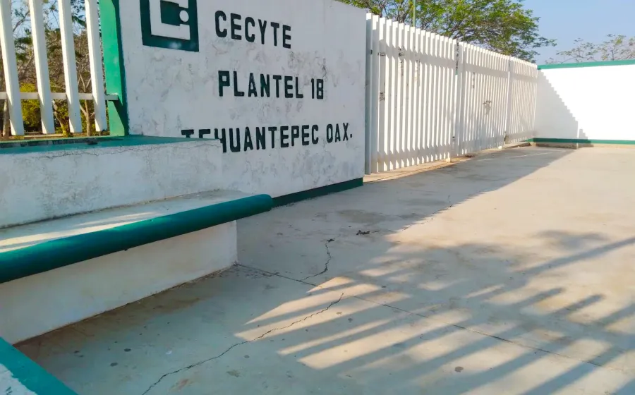 cecyte_tehua
