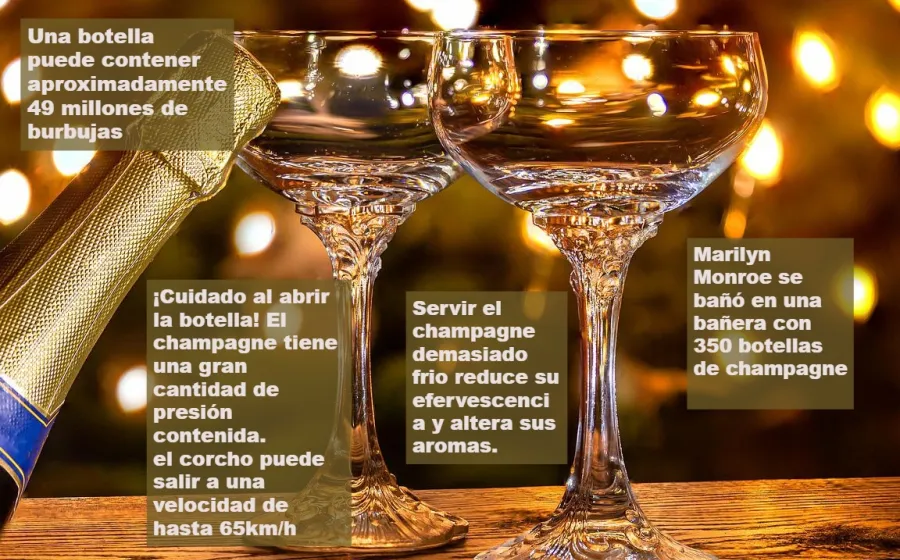 champagne