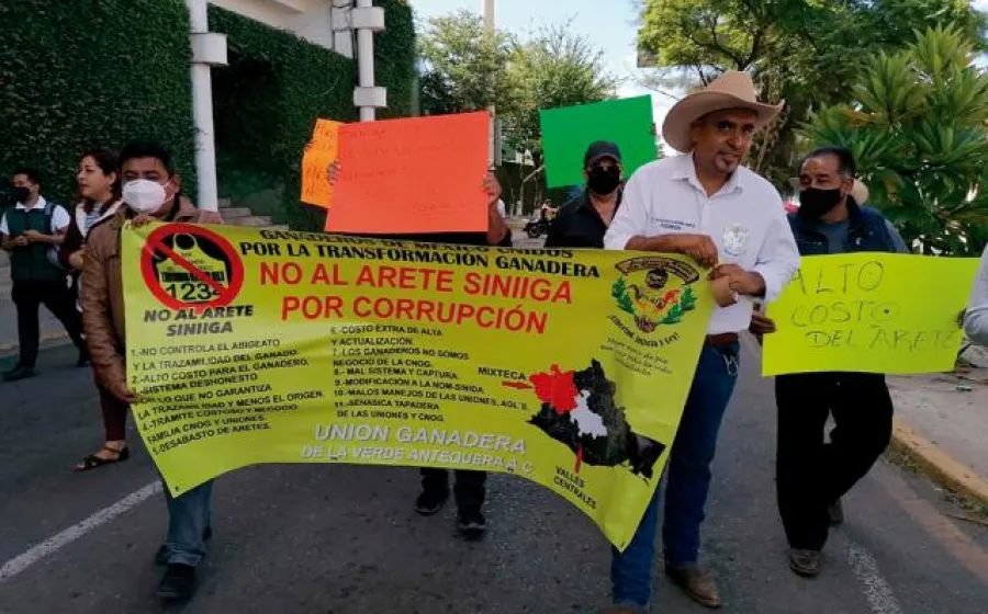 ganaderos_istmo