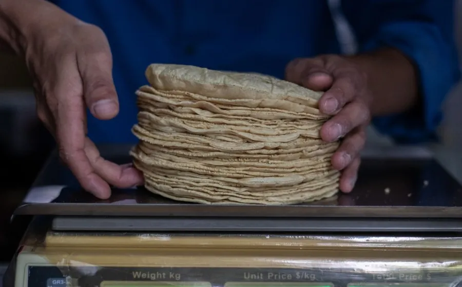 tortillas_precio