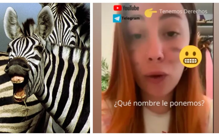 viral_mujer_cebra