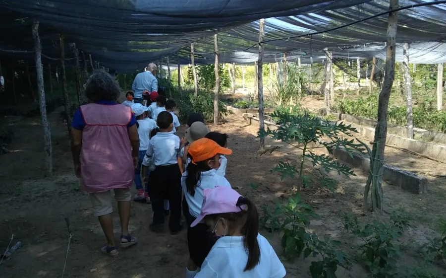 agroecologico