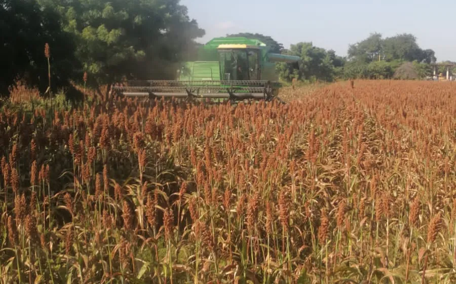 apoyo_agricultores