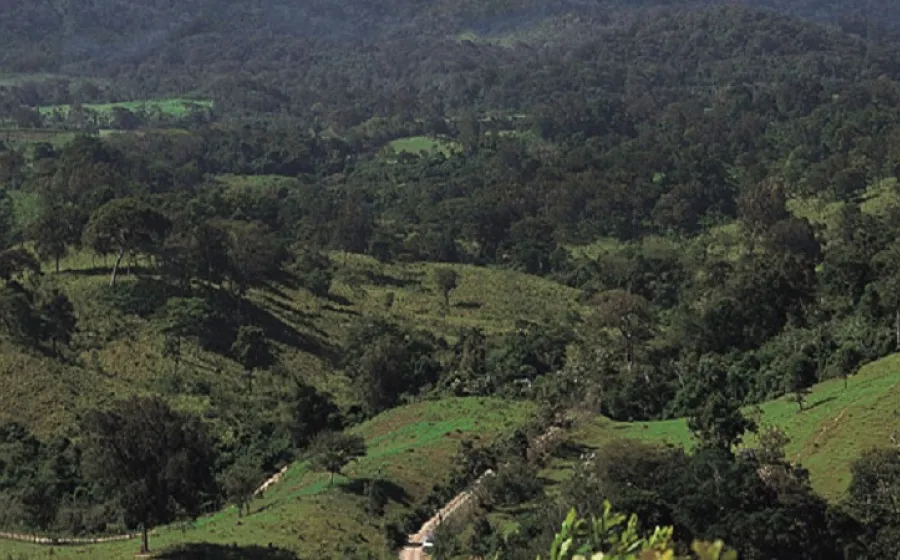 chimalapa