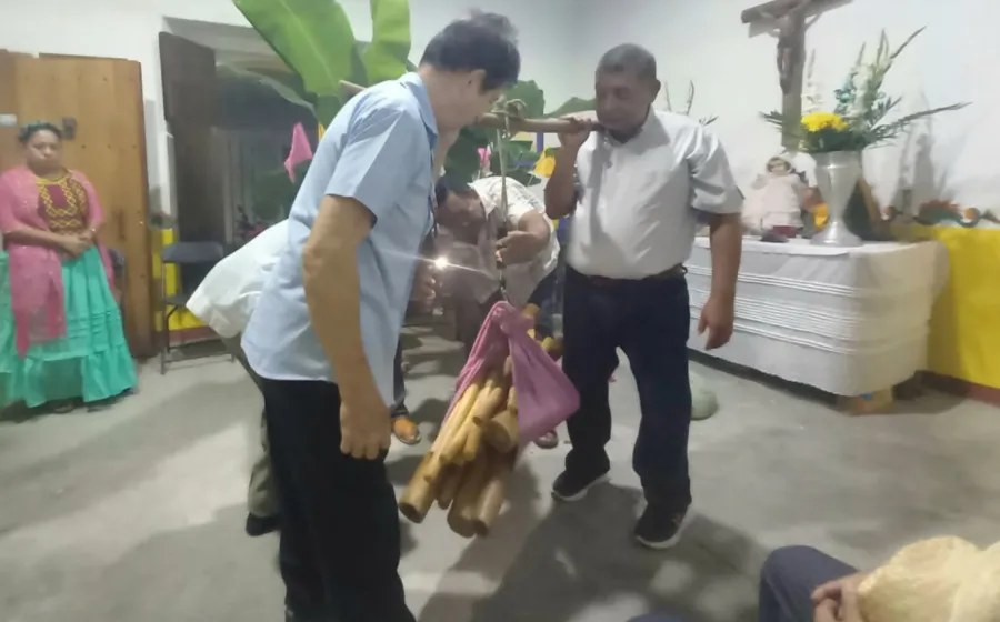 labrada_de_cera