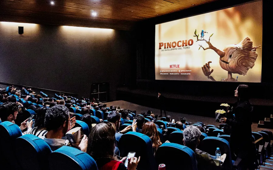 pincocho_funcion