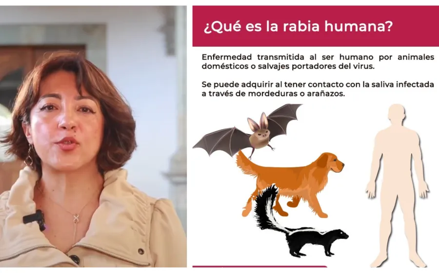 rabia_salud_oaxaca