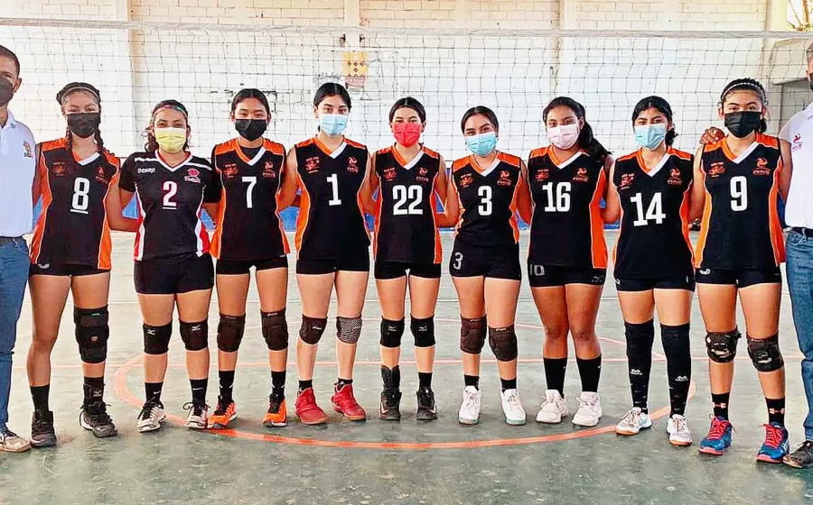 voleibol 