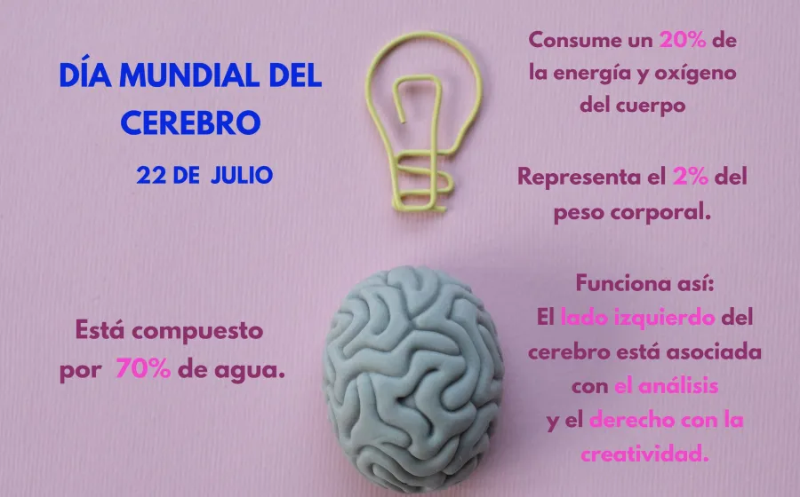 dia_mundial_cerebro