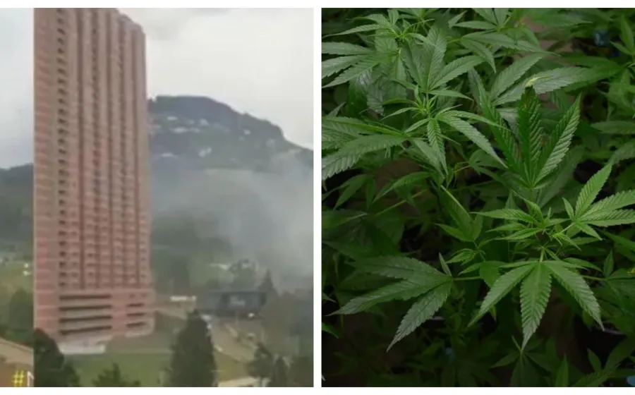 quema_de_marihuana