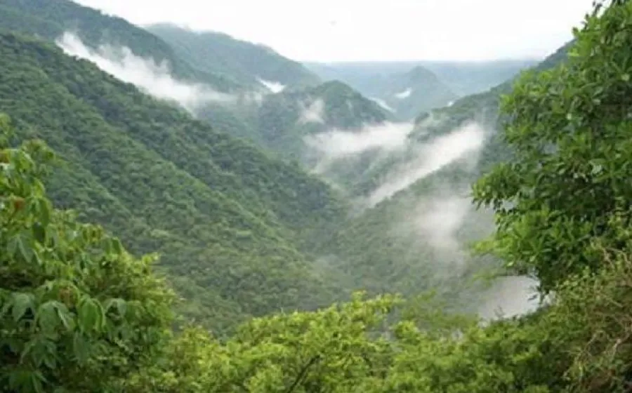 selva_chimalapa