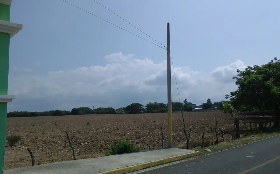 sorgo_salina_cruz