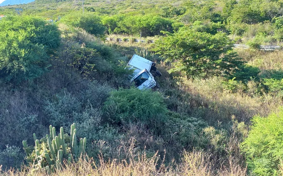 camion_accidente_en_curva