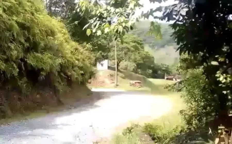 enfrentamientos