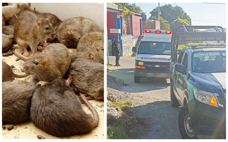 mujer_se_intoxica_con_veneno_de_ratas