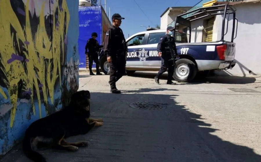 perro_paseando_con_brazo