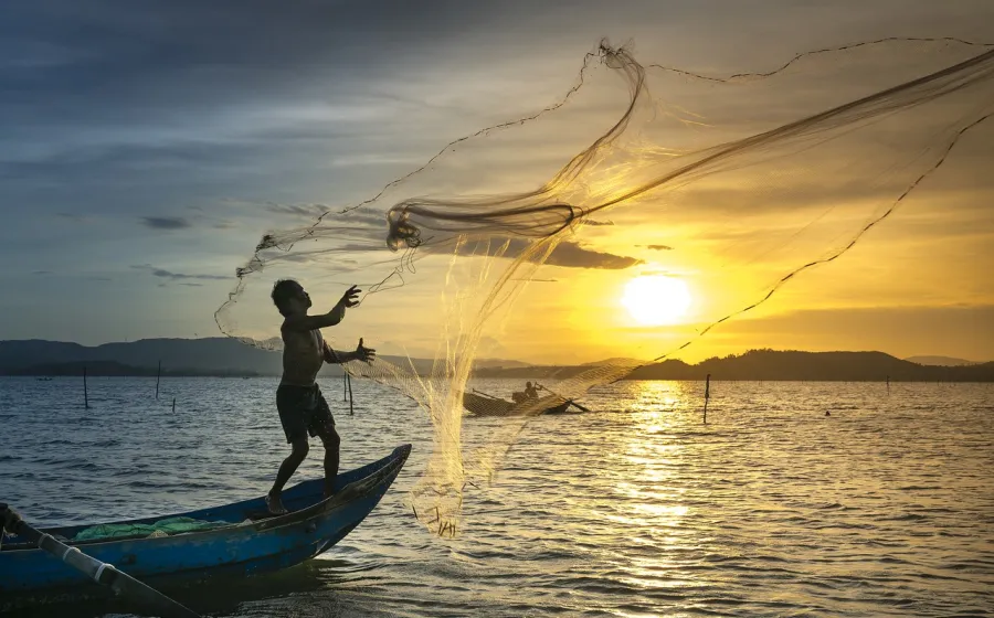 pesca_programa