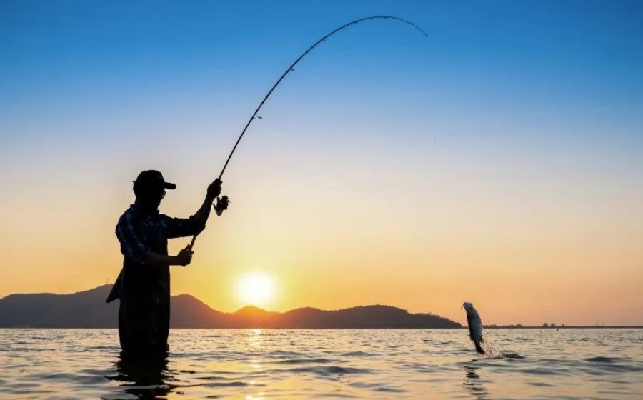 pesca_veda
