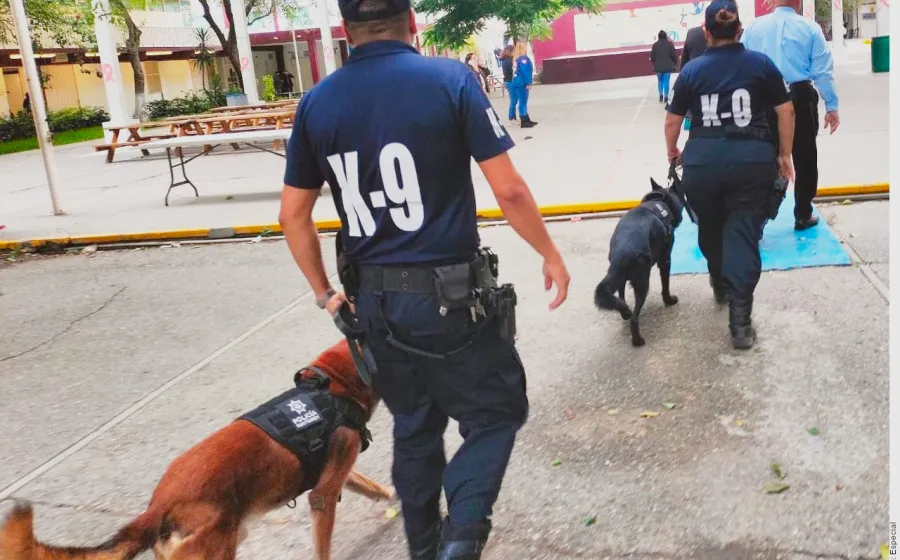canes_en _operativo