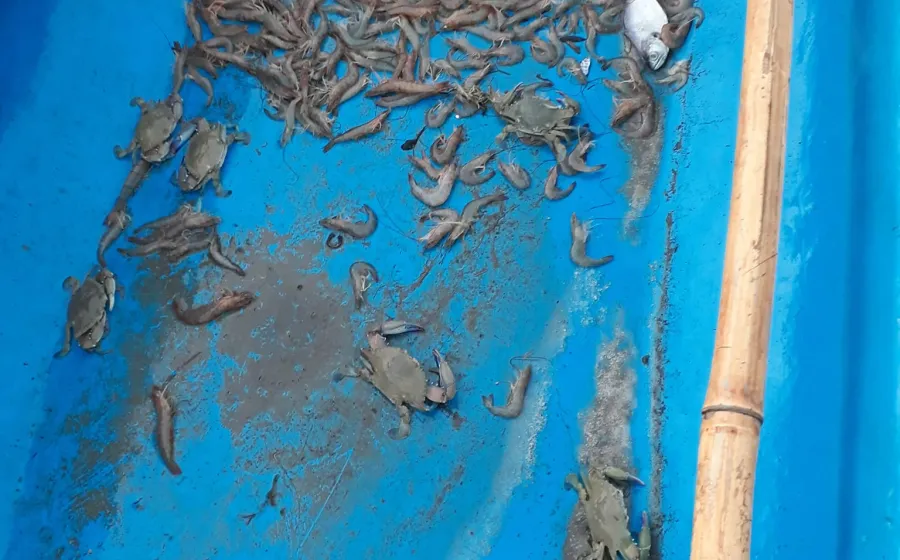pesca_zona_huave