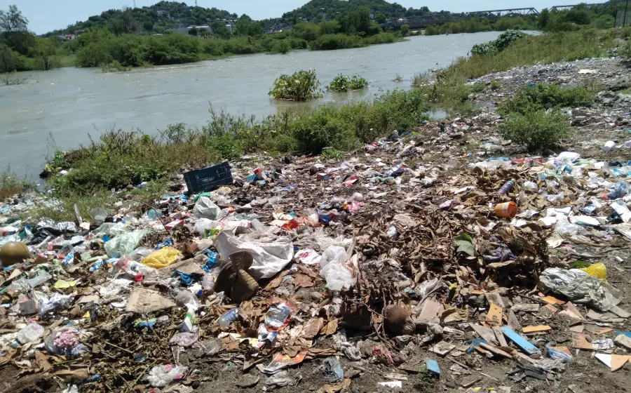 tehua_basura