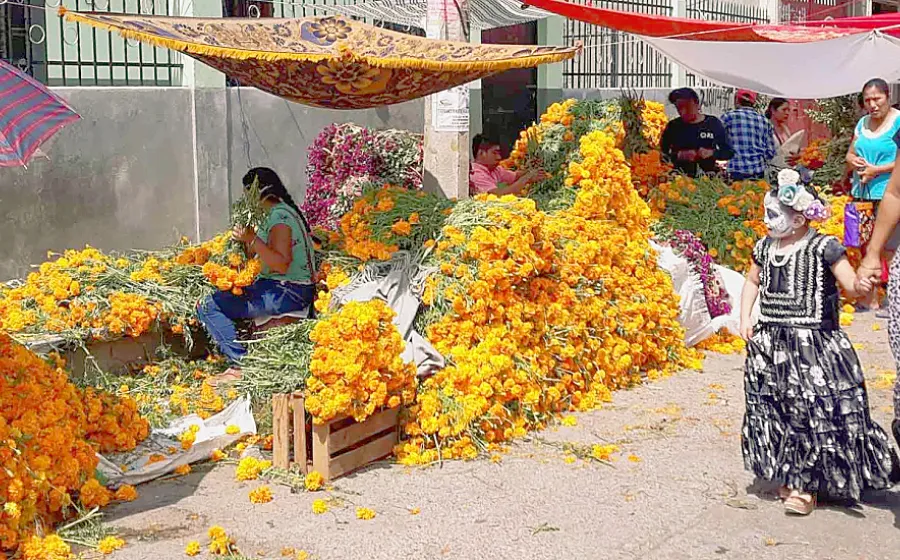 venta_todos_santos_flor