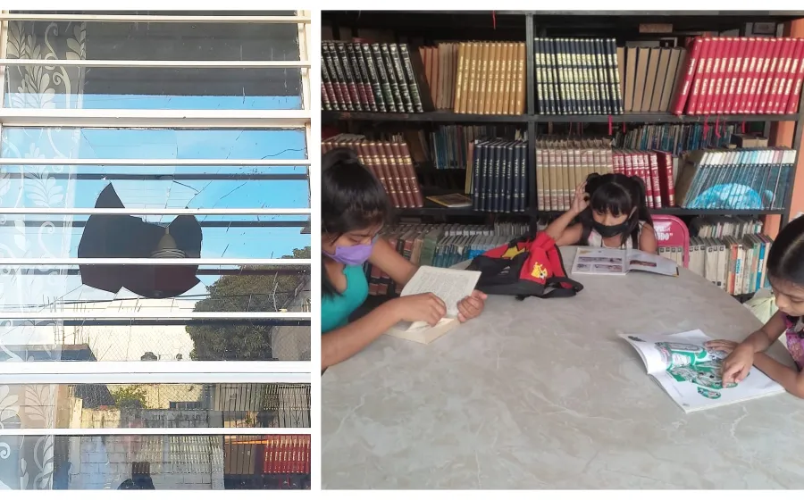 apedrean_biblioteca_yodo