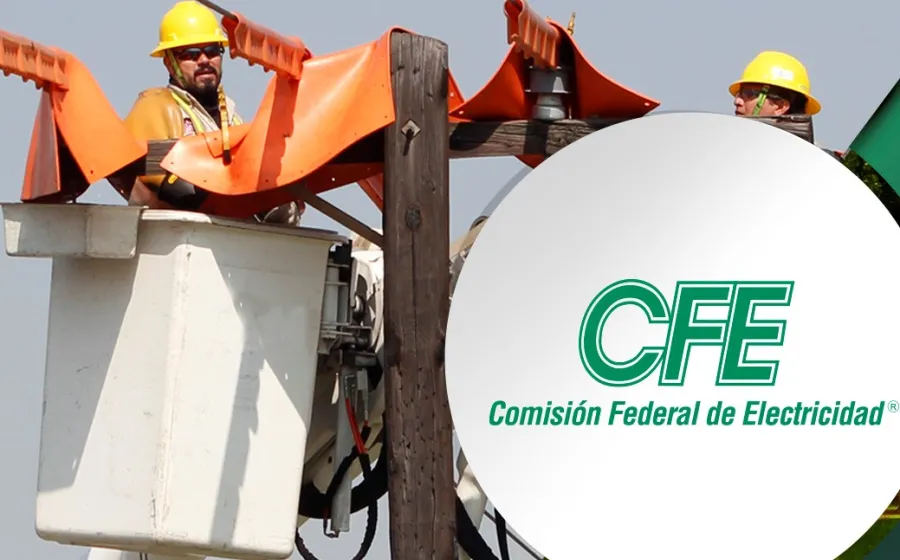 cfe_trabajadores
