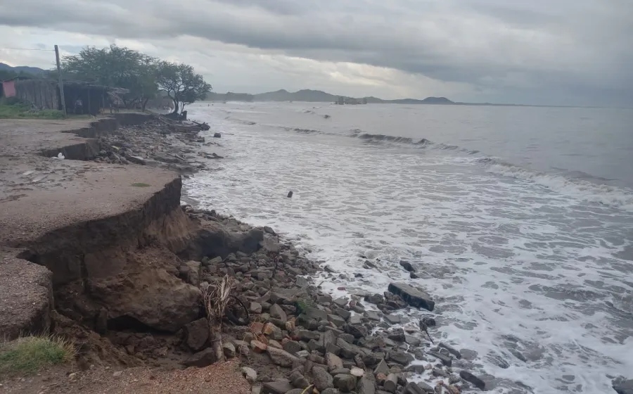 palapas_ventosa