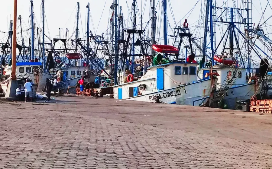pesca_altamar_sc
