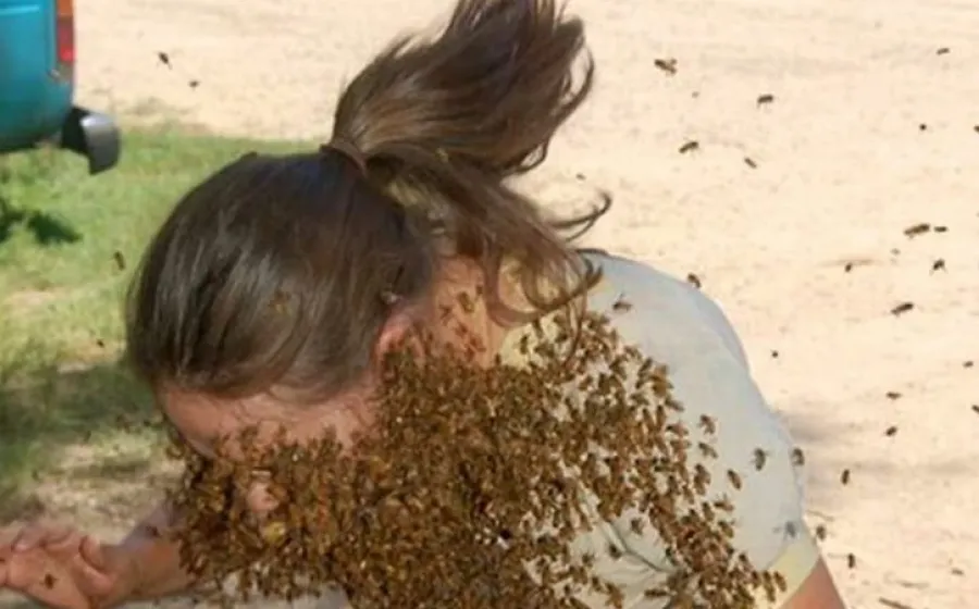 ataque_abejas