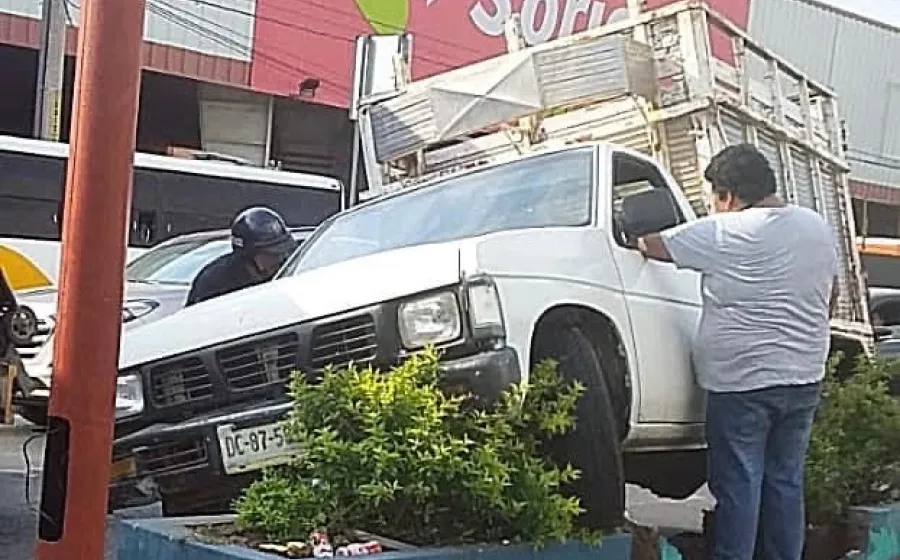 camioneta_jardinera