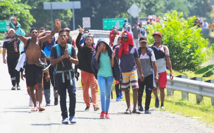 ingenio_migrantes
