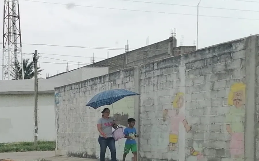 Mantenga todas las medidas de prevención contra el calor.