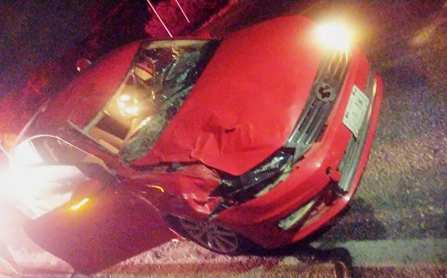 accidente_vaca