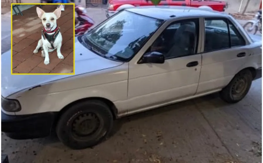 auto_lomito_robo