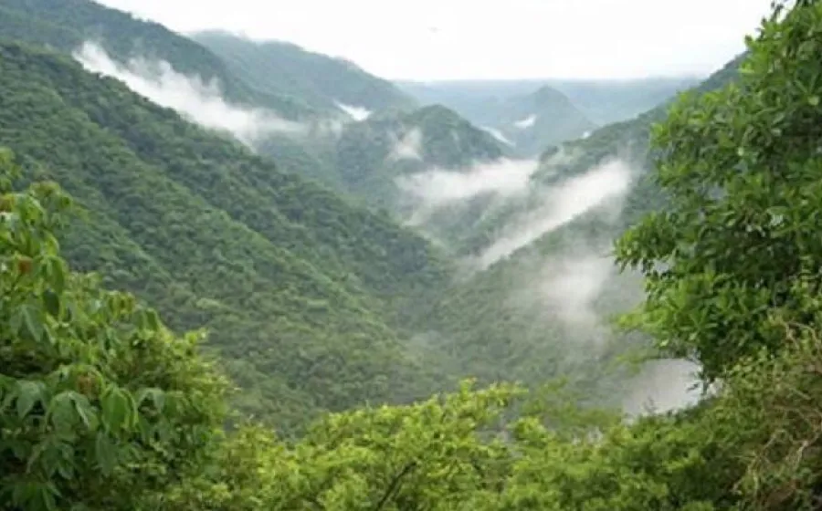 chimalapa_areas