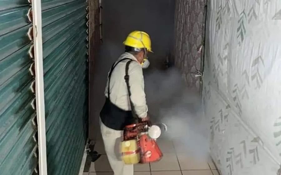 fumigacion_plagas