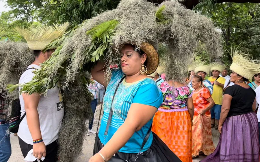 traida_de_flor_tehua