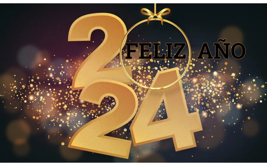 ano_ 2024