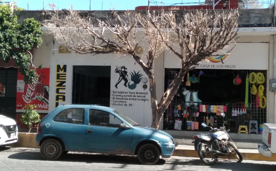 arbol_caida