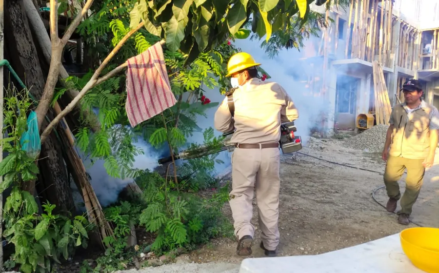 dengue_salud_oaxaca
