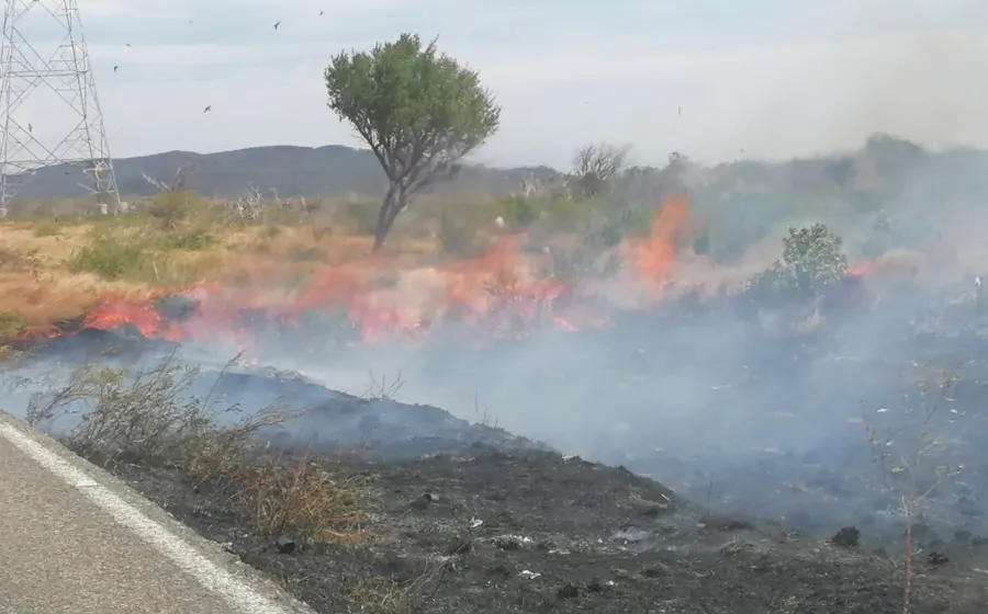 incendio_pastizales