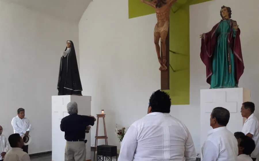 shuanas_nuevos