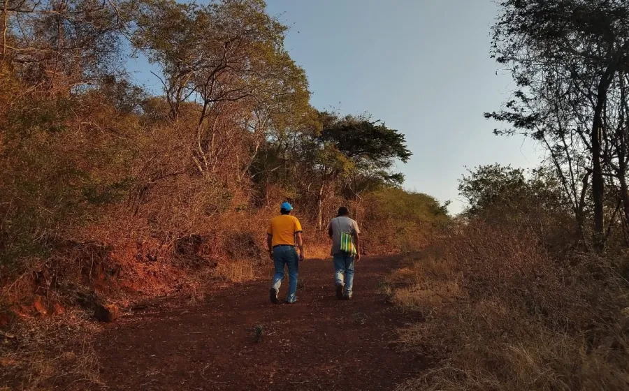 Cerro La Llovizna en Oaxaca