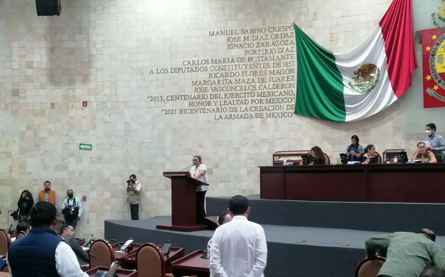 Diputada Concepción Rueda Gómez en el Congreso.