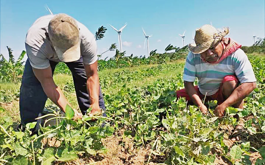 comitan_campesinos